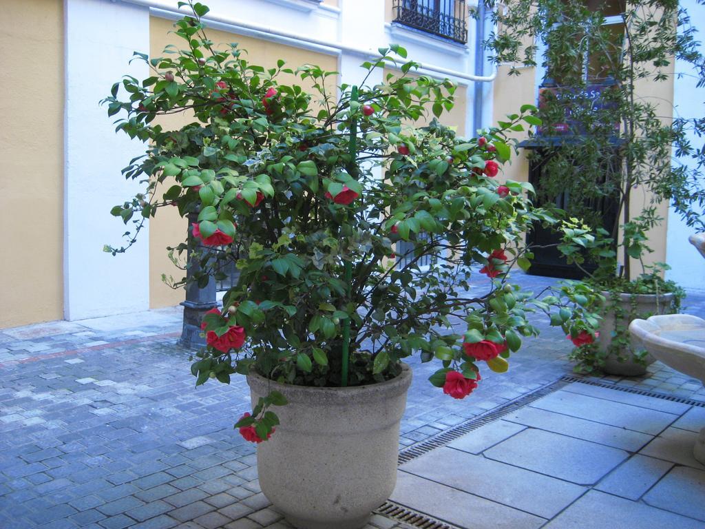 Hostal Huespedes Toledo มาดริด ภายนอก รูปภาพ