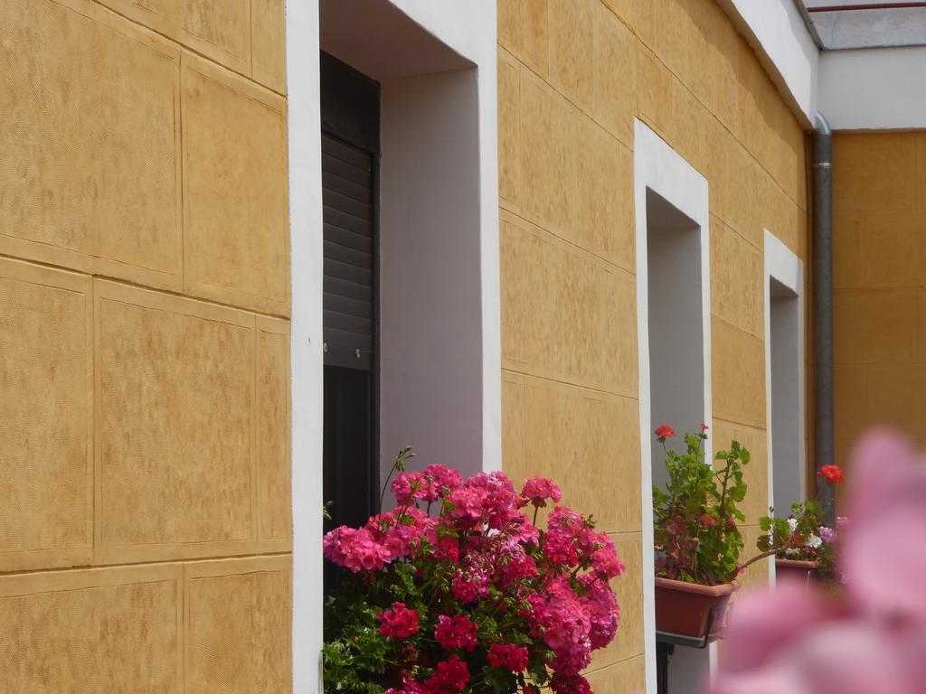 Hostal Huespedes Toledo มาดริด ภายนอก รูปภาพ