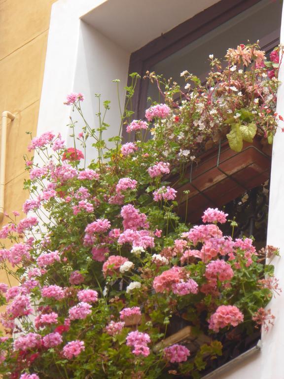 Hostal Huespedes Toledo มาดริด ภายนอก รูปภาพ